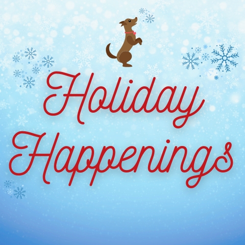 Holiday 2024 (300 x 600 px) (500 x 500 px)